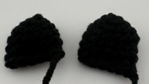 black cat hears